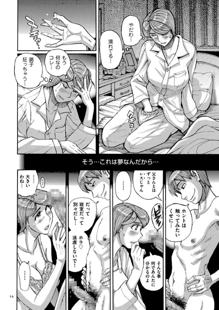 Mother’s Care Service How to ‘Wincest’ - ページ13