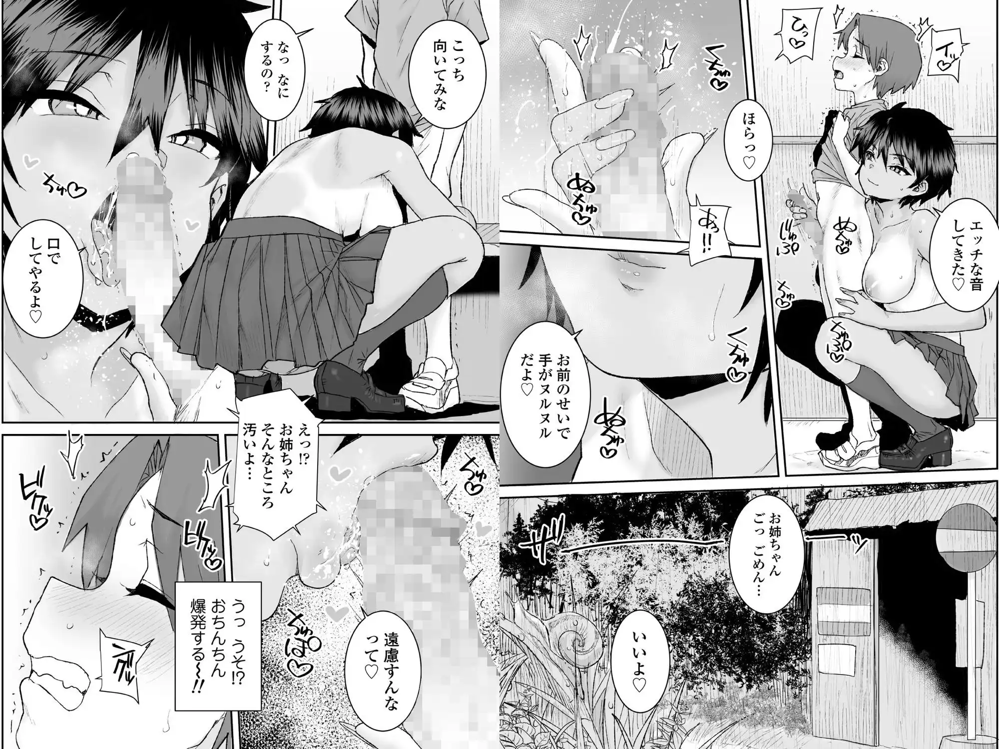 無口で気の強いボーイッシュなお姉ちゃんで僕は童貞を卒業しました